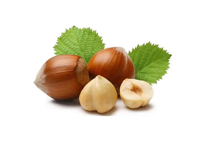 واردات فندق از ترکیه